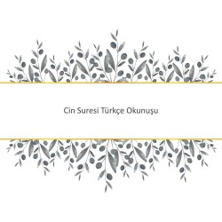 Cin Suresi Türkçe Okunuşu