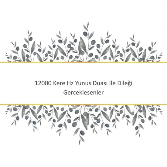 12000 Kere Hz Yunus Duası Ile Dileği Gerceklesenler 12000 Kere Hz Yunus Duası Ile Dileği Gerceklesenler - Güçlü ve Etkili Dua