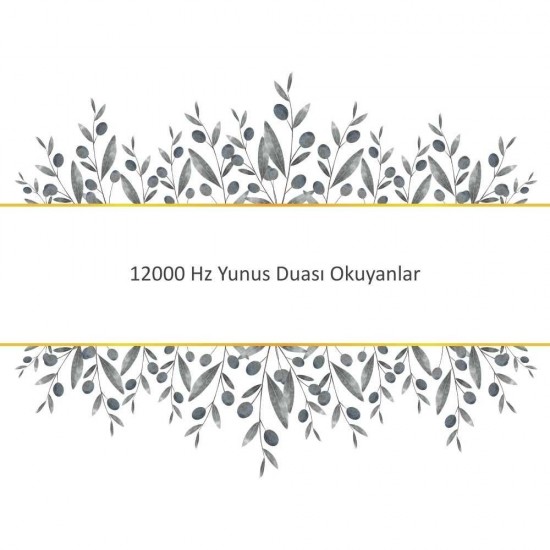 12000 Hz Yunus Duası Okuyanlar 12000 Hz Yunus Duası Okuyanlar - Güçlü ve Etkili Dua