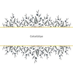 Celcelütiye