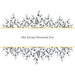 Aksi Kocaya Okunacak Dua