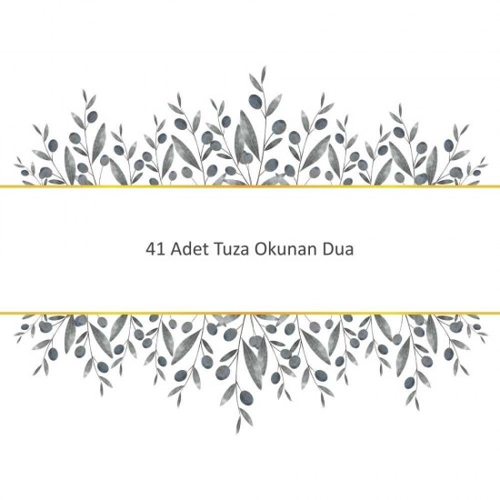 41 Adet Tuza Okunan Dua 41 Adet Tuza Okunan Dua - Güçlü ve Etkili Dua