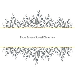 Evde Bakara Suresi Dinlemek