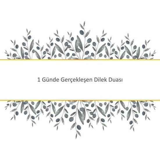 1 Günde Gerçekleşen Dilek Duası 1 Günde Gerçekleşen Dilek Duası - Güçlü ve Etkili Dua