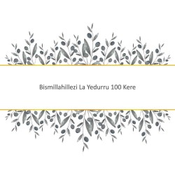 Bismillahillezi La Yedurru 100 Kere