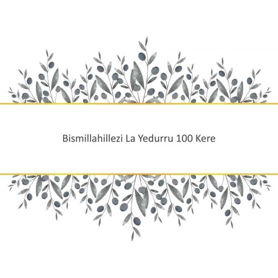 Bismillahillezi La Yedurru 100 Kere Bismillahillezi La Yedurru 100 Kere - Güçlü ve Etkili Dua