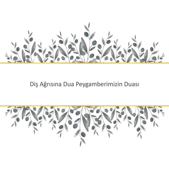 Diş Ağrısına Dua Peygamberimizin Duası Diş Ağrısına Dua Peygamberimizin Duası - Güçlü ve Etkili Dua