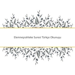 Elemneşrahleke Suresi Türkçe Okunuşu