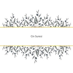 Cin Suresi